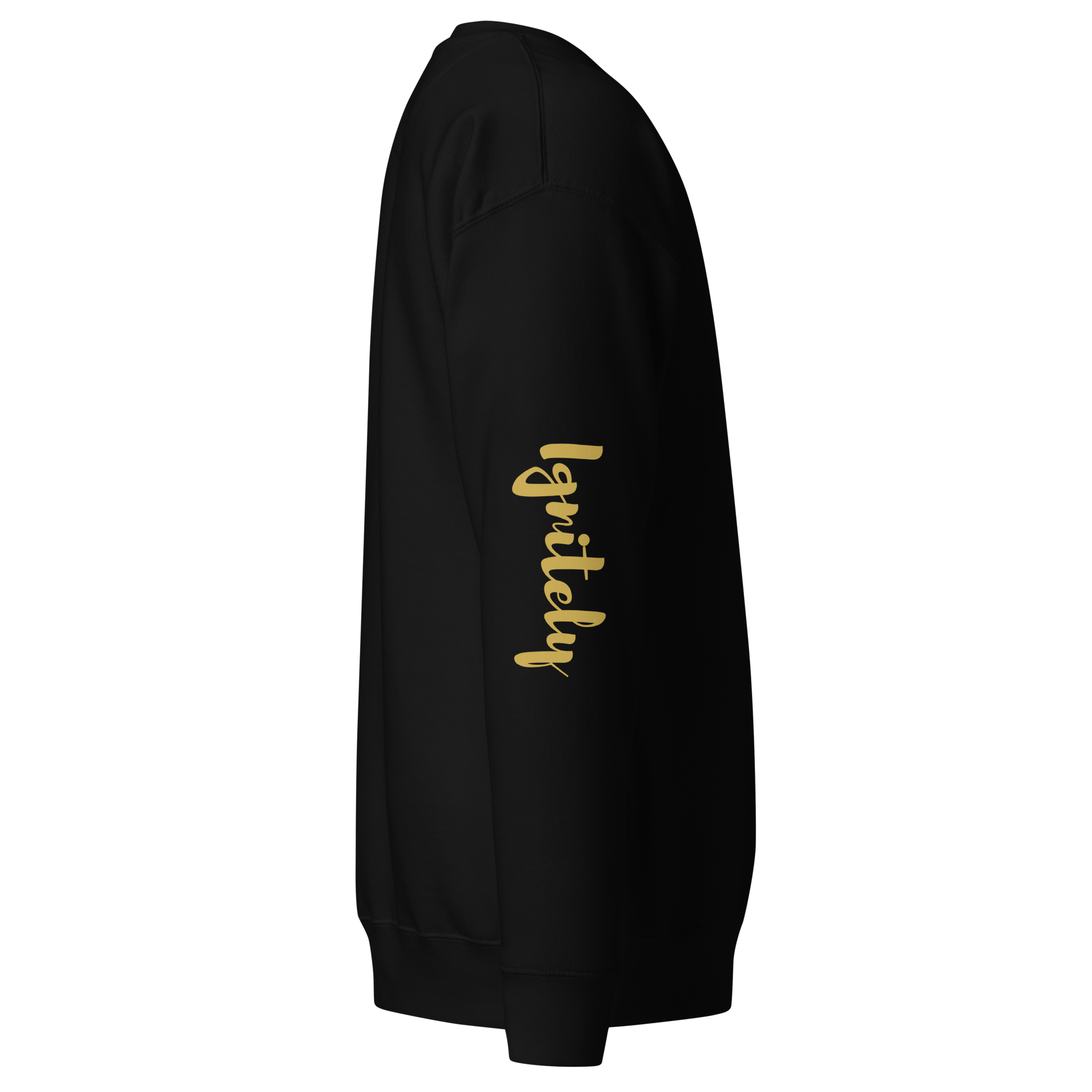 Ignitely Premium Sweatshirt