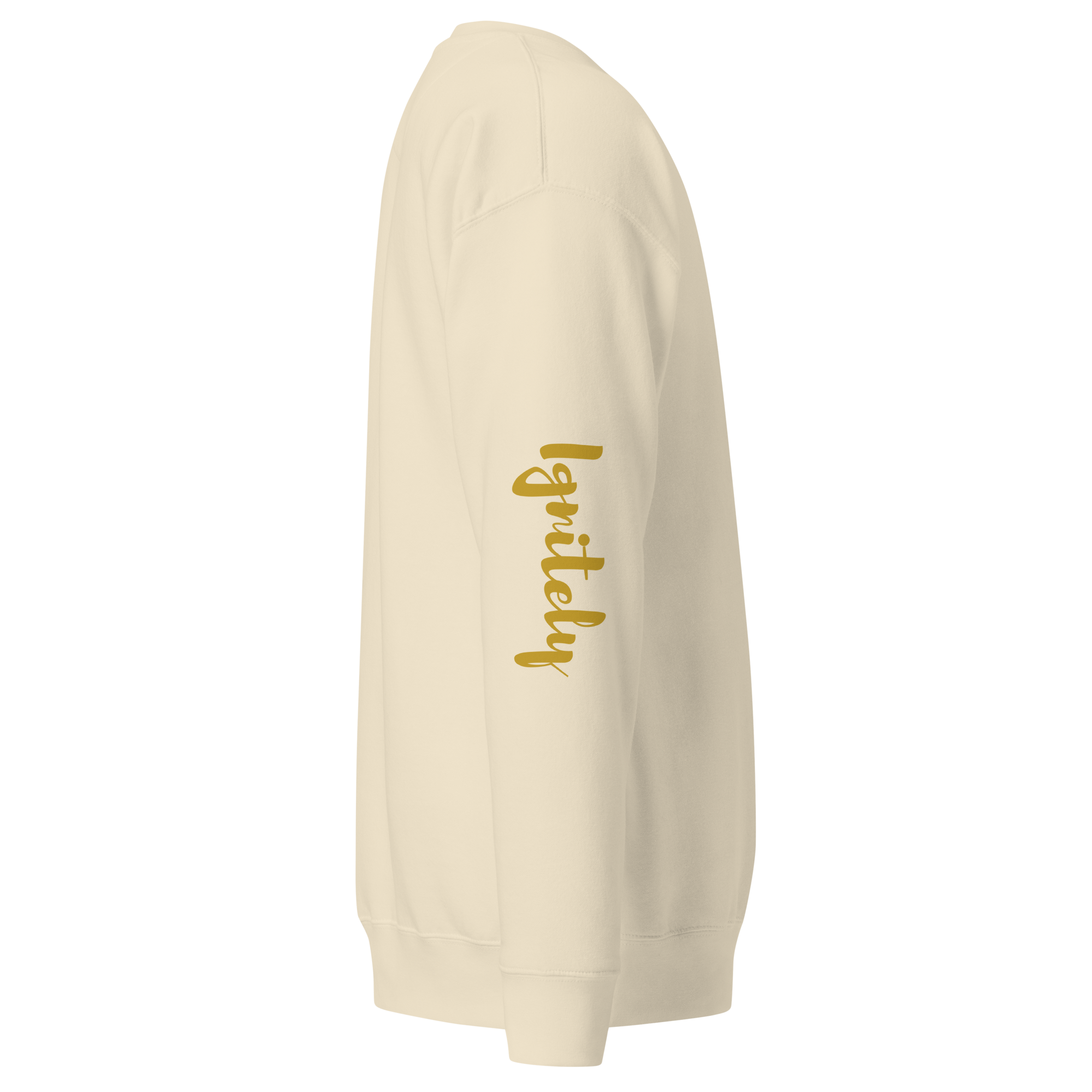 Ignitely Premium Sweatshirt