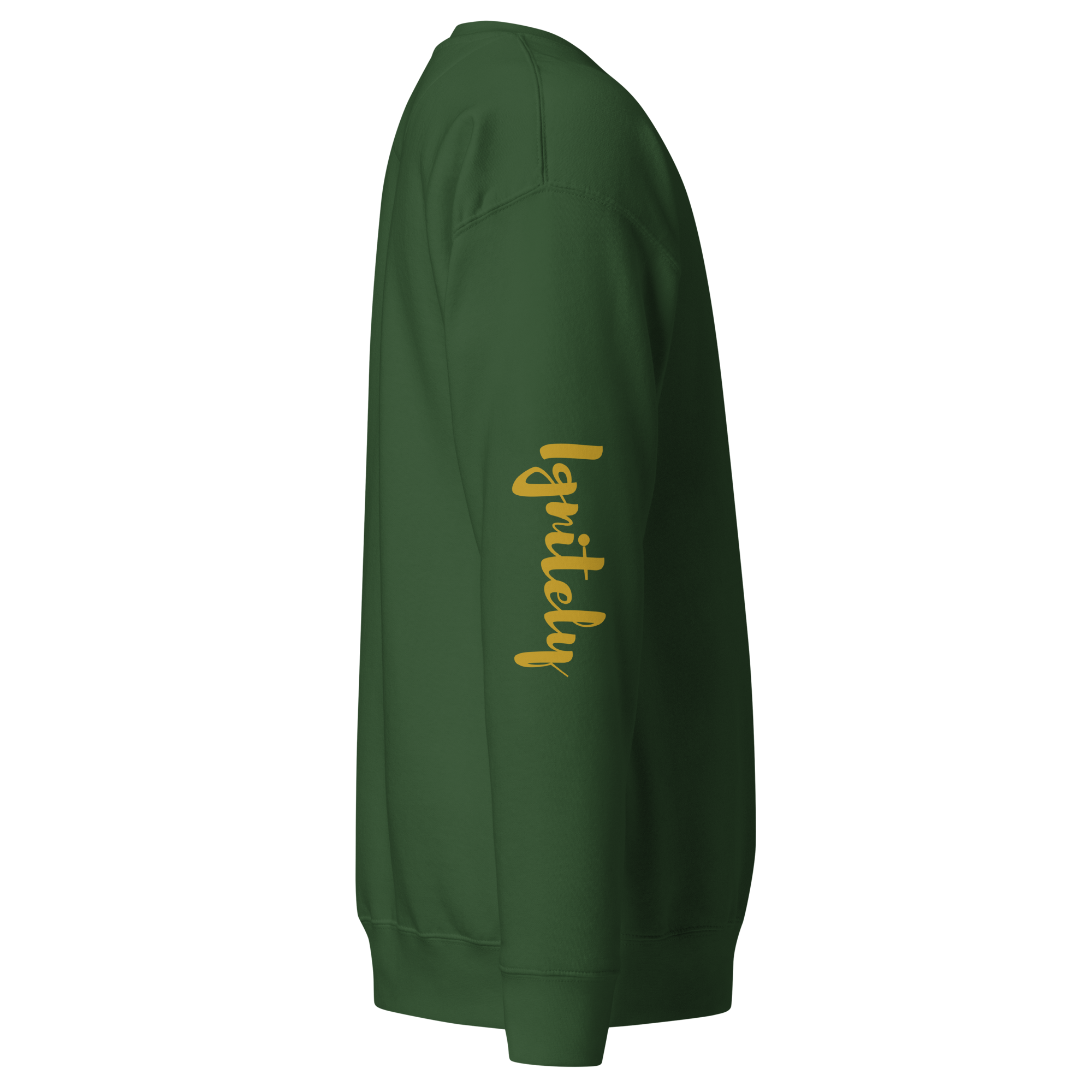 Ignitely Premium Sweatshirt