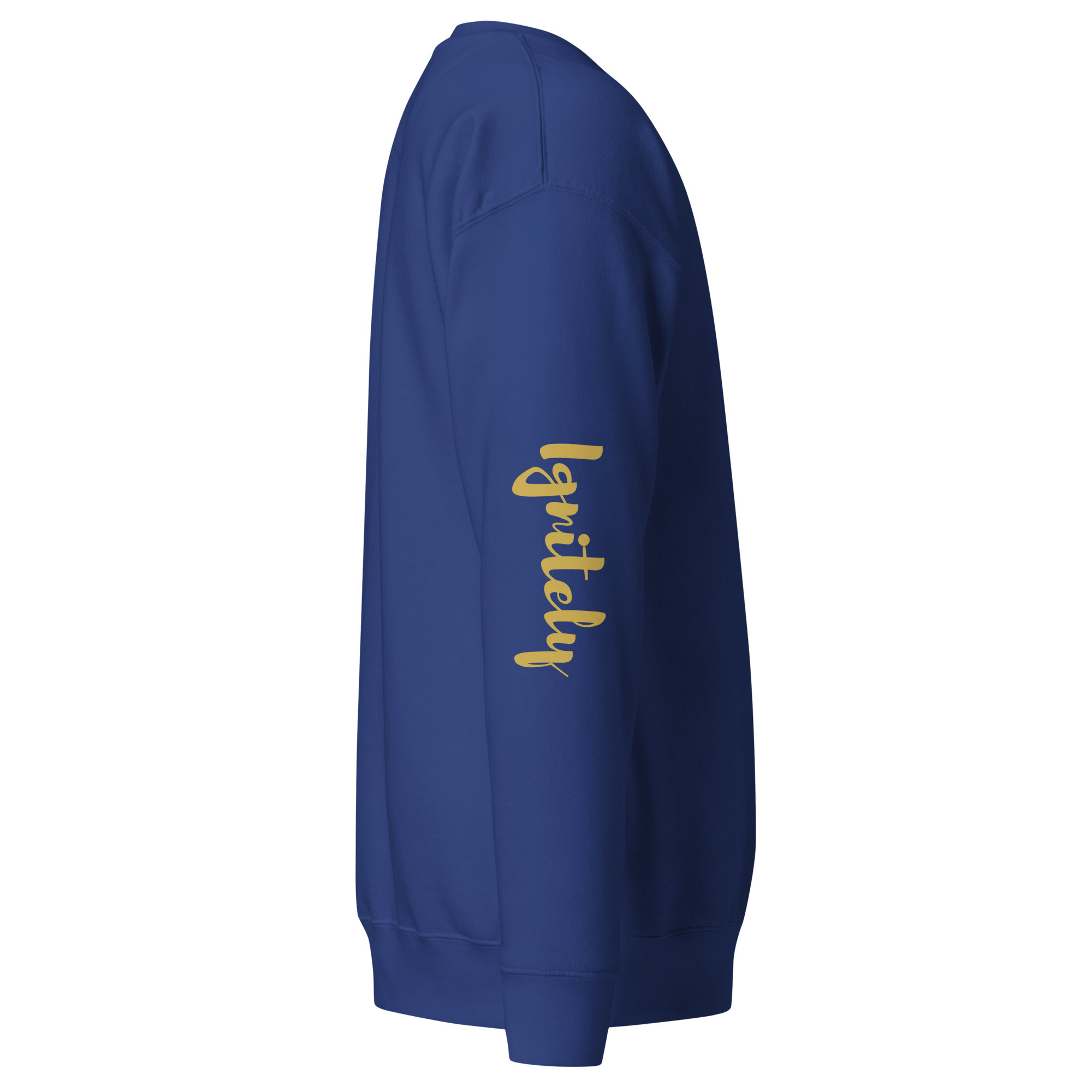 Ignitely Premium Sweatshirt